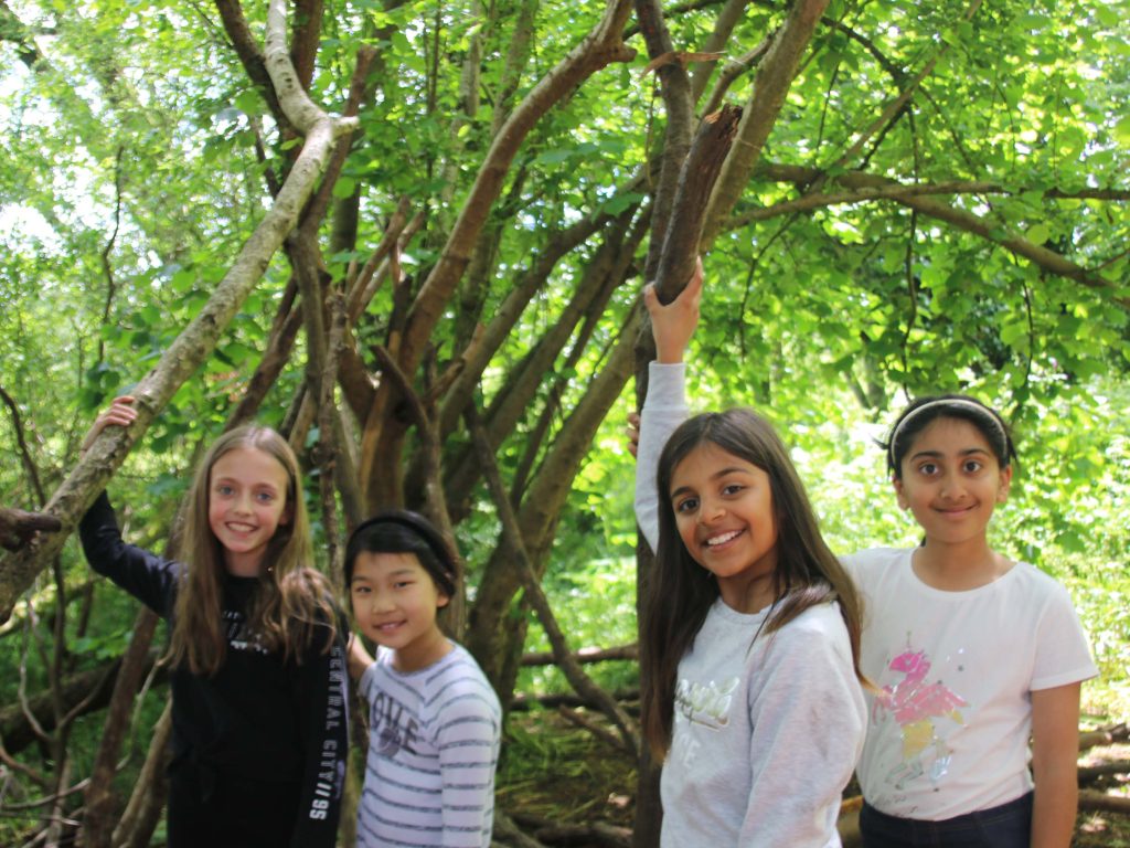 4 students holding branches in the woods