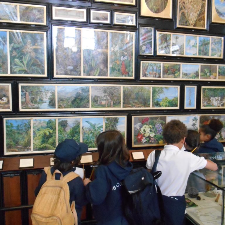 students looking at pictures