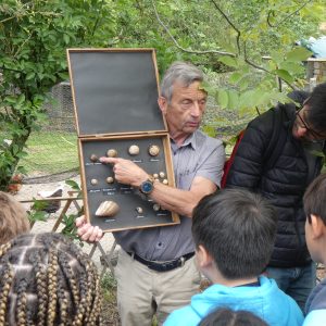 man pointing at a shell